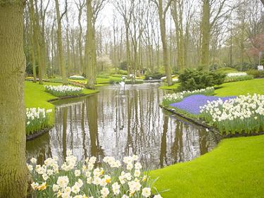 the Keukenhof is a famous flower garden near Amsterdam: picture taken from Wikipedia